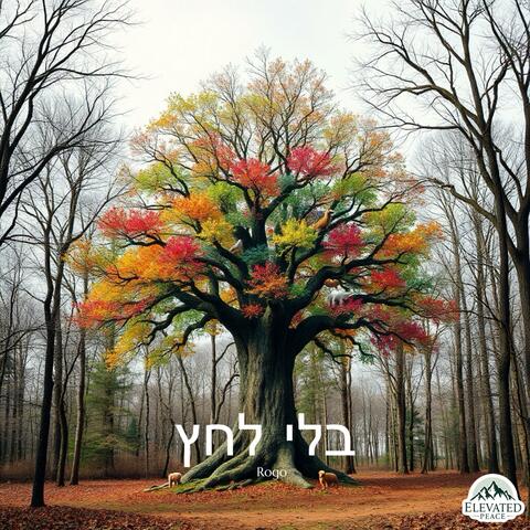 ‏בלי לחץ