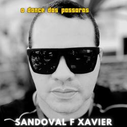 O dance dos passaros