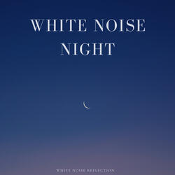 White Noise Night