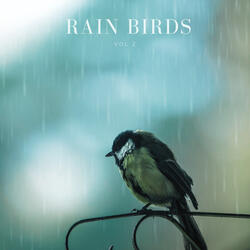 Rain on trees, birds upfront