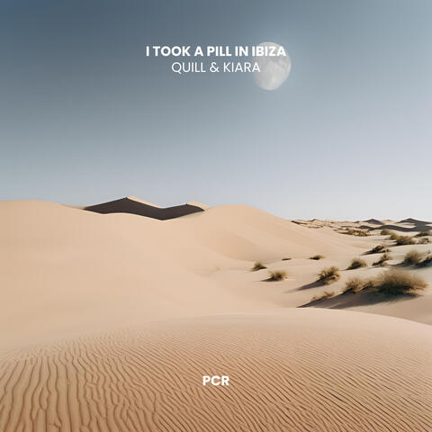 I Took A Pill In Ibiza