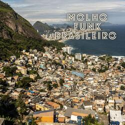 Brazilian Sauce Funk