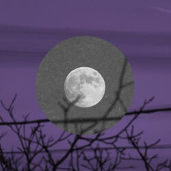 eco lunar
