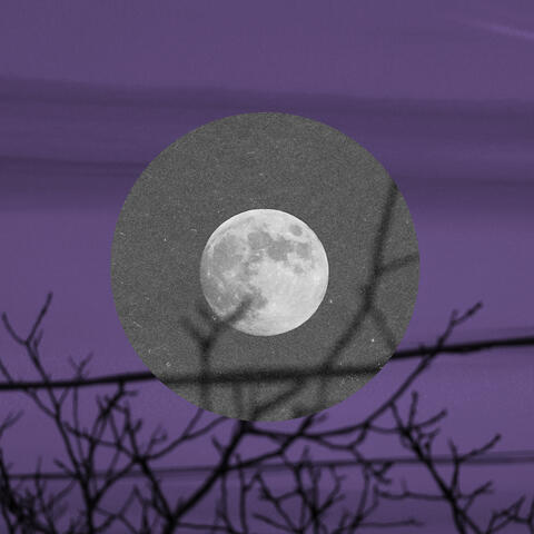 eco lunar