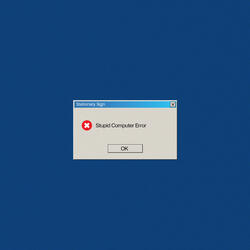 Stupid Computer Error