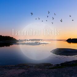 Lammhult Birds