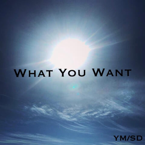What You Want