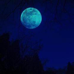 Blue Moon