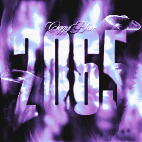 2065