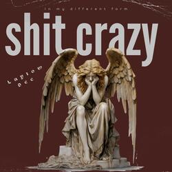 Shit Crazy