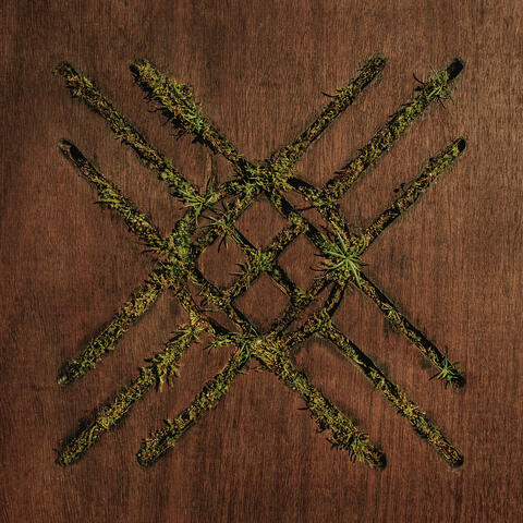Violent Grief: Acoustic Sessions