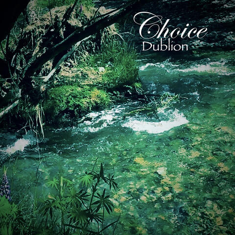 Dublion