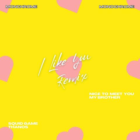 l Like You Remix