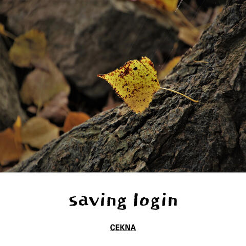 saving login