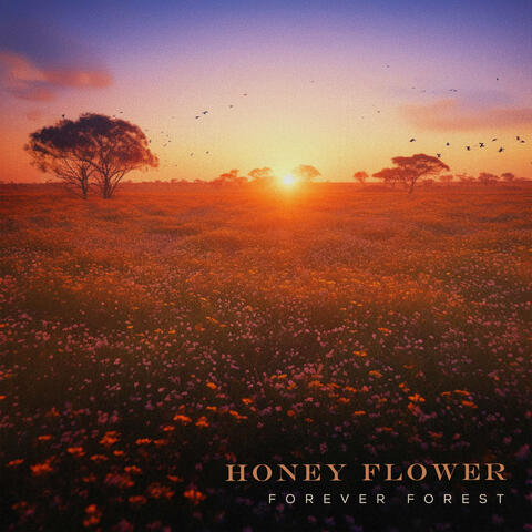 Honey Flower
