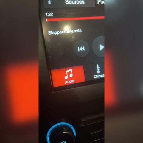 Slapperzonly