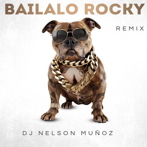 Bailalo Rocky