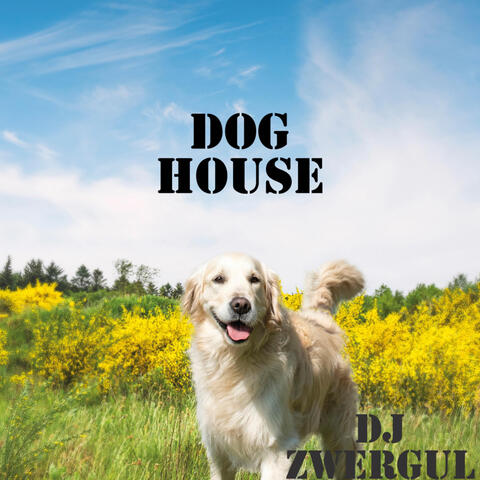 Dog House