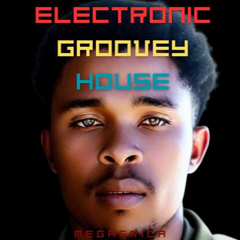 Electronic Groovey House