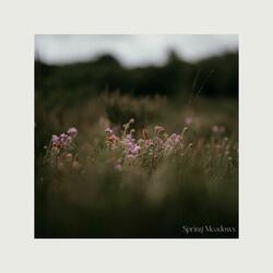 Spring Meadows
