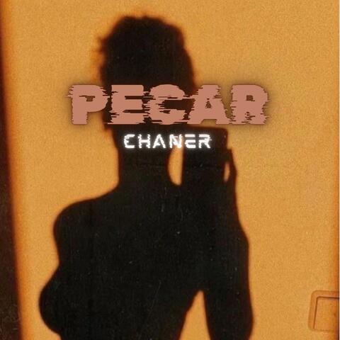 Pecar