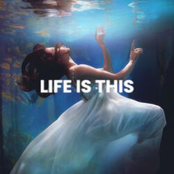 Life is this