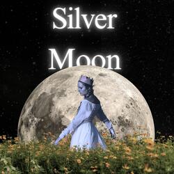Silver Moon