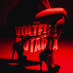 Voltei pra Putaria