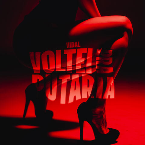 Voltei pra Putaria
