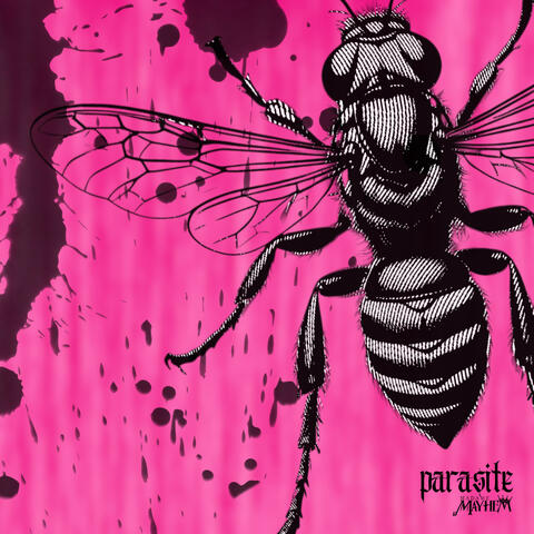Parasite