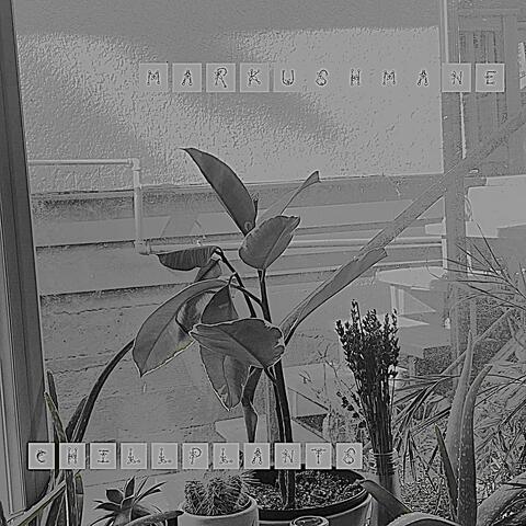 chill plants