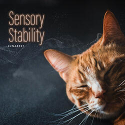 Sensory Stability