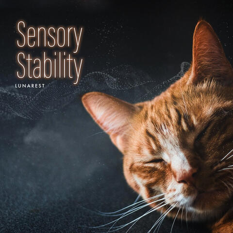 Sensory Stability