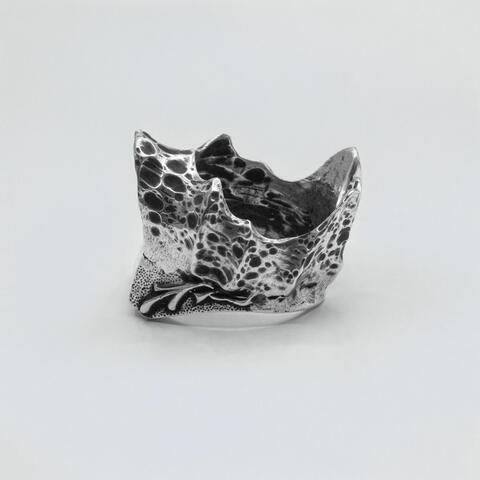 Silent Crown
