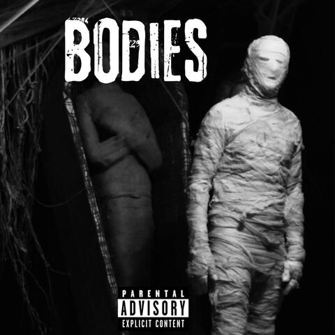 Bodies