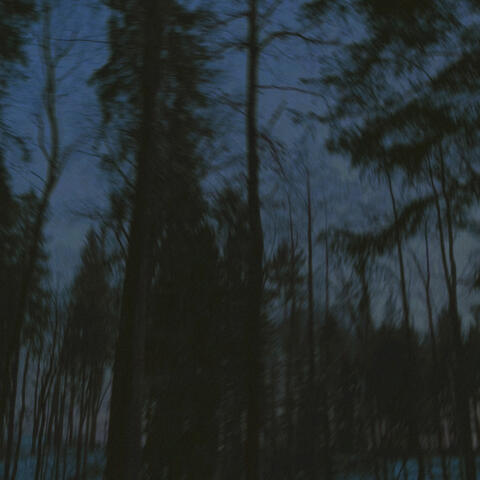 Moonwake