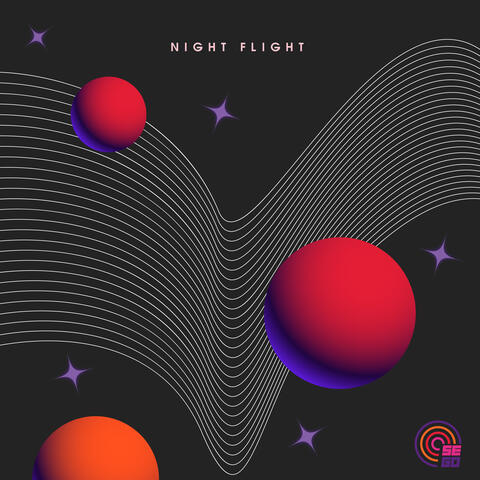 Night Flight