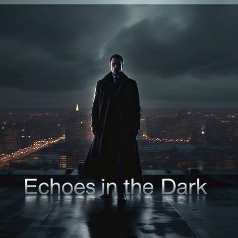 Echoes in the Dark