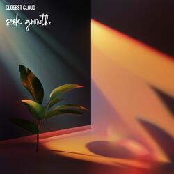Seek Growth