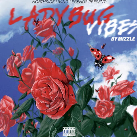 Ladybug Vibes