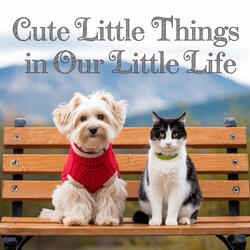 Cute Little Things in Our Little Life