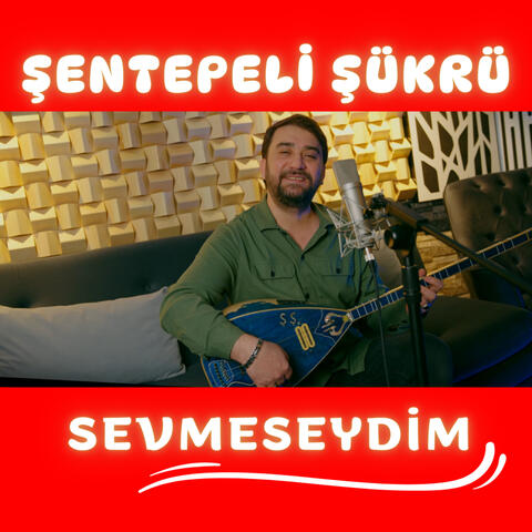 Sevmeseydim