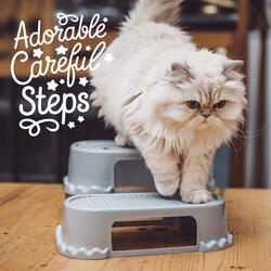 Adorable Careful Steps