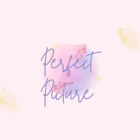 PERFECT PICTURE