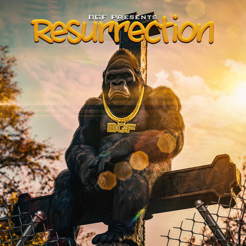 Resurrection
