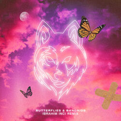 Butterflies & Bandaids