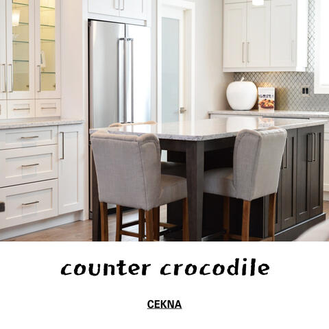 counter crocodile