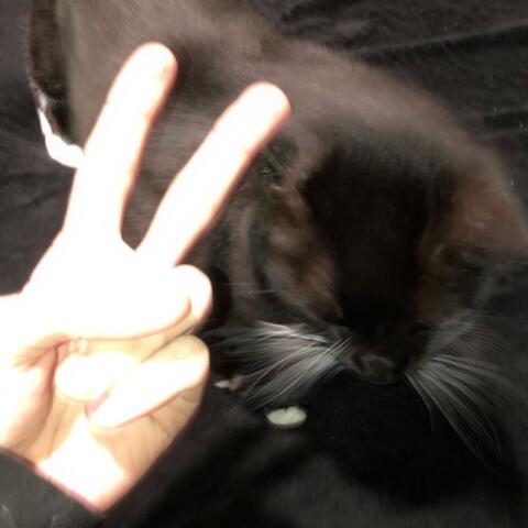 Speaking Up Finally!