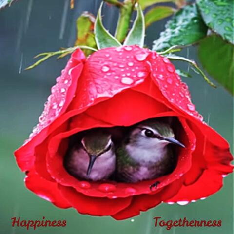 Happiness, Togetherness