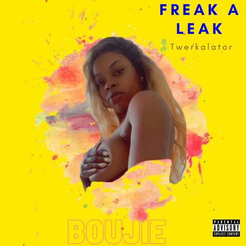Freak A Leak